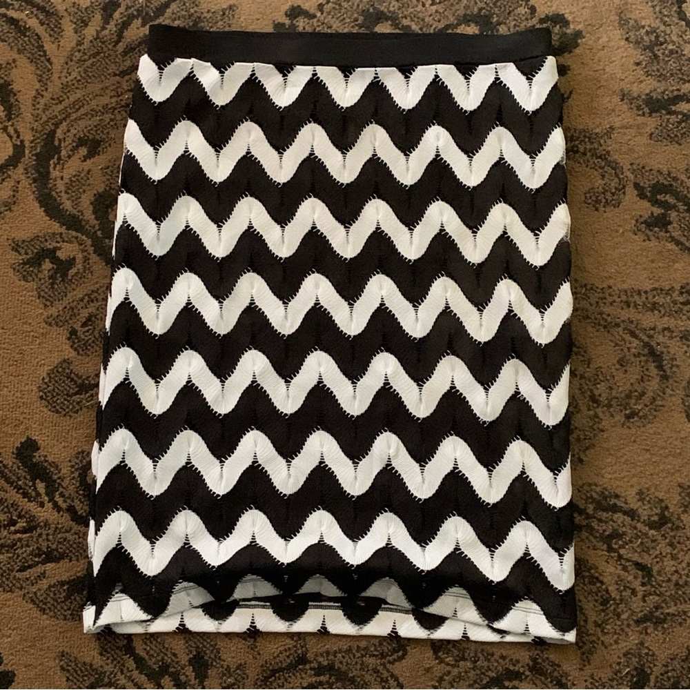 Black/white skirt.  Outer layer is crocheted with black silk lining.